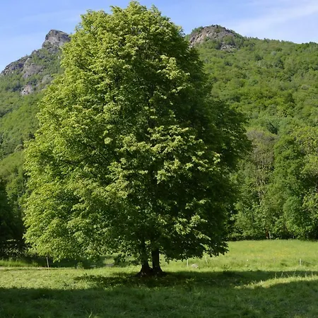 Country house Countryrooms Valchiusella Vico Canavese
